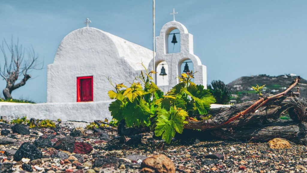 Santorini Wine tour