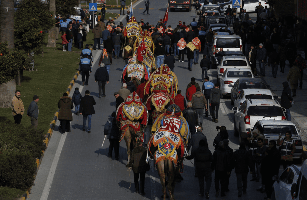 Camel Wrestling Festival