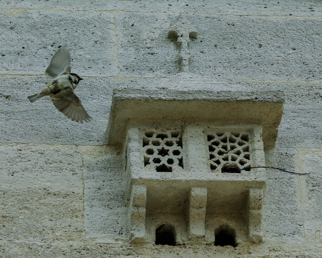 Birdhouses in Turkey