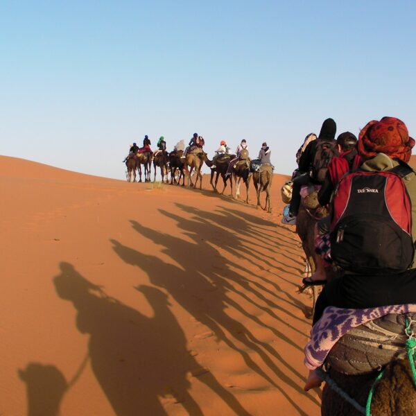 Best Tour Companies in Morocco