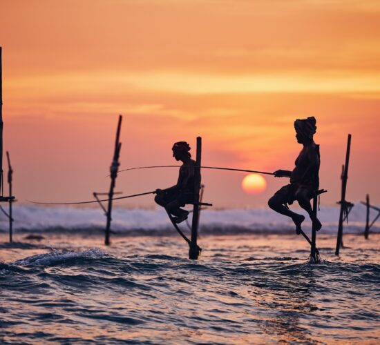 Silhouettes of the traditional fishermen. Traditional stilt fishing near Galle in Sri Lanka.