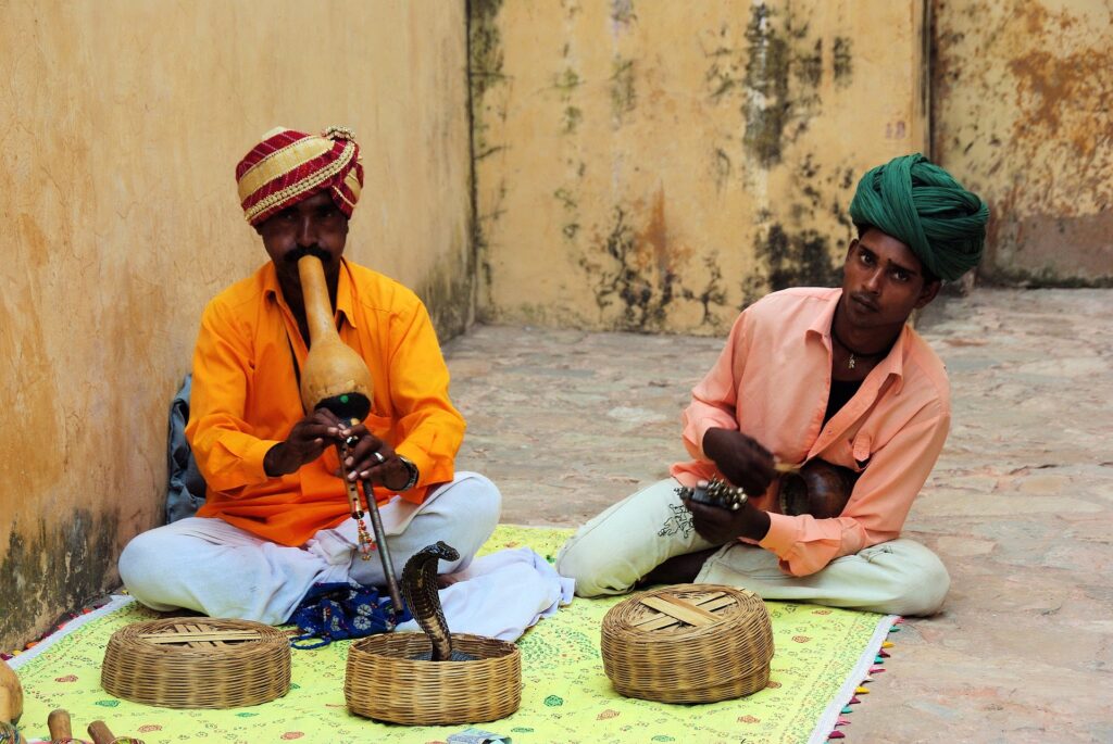 India Tours: Snake charmers