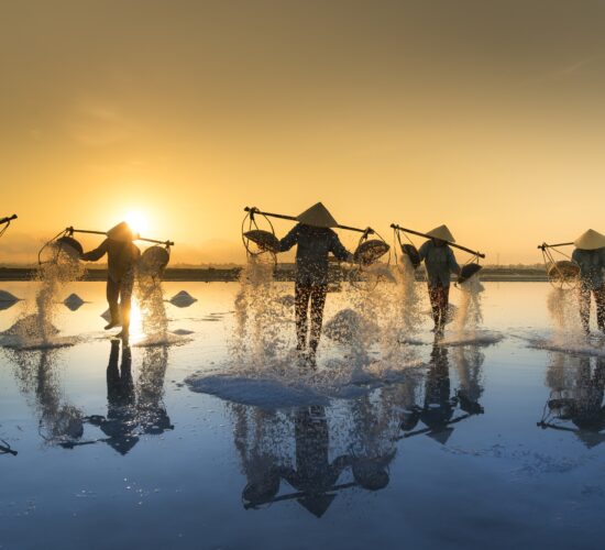 Salt Harvesting, Vietnam