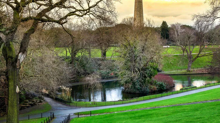 Top 12 Attractions in Dublin / Phoniex Park