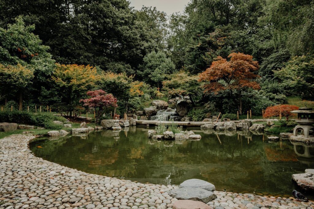 Best Things to Do in London / Kyoto Garden - Holland Park