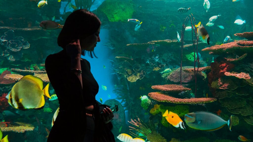 Best Places to Visit in Toronto / Ripley’s Aquarium of Canada