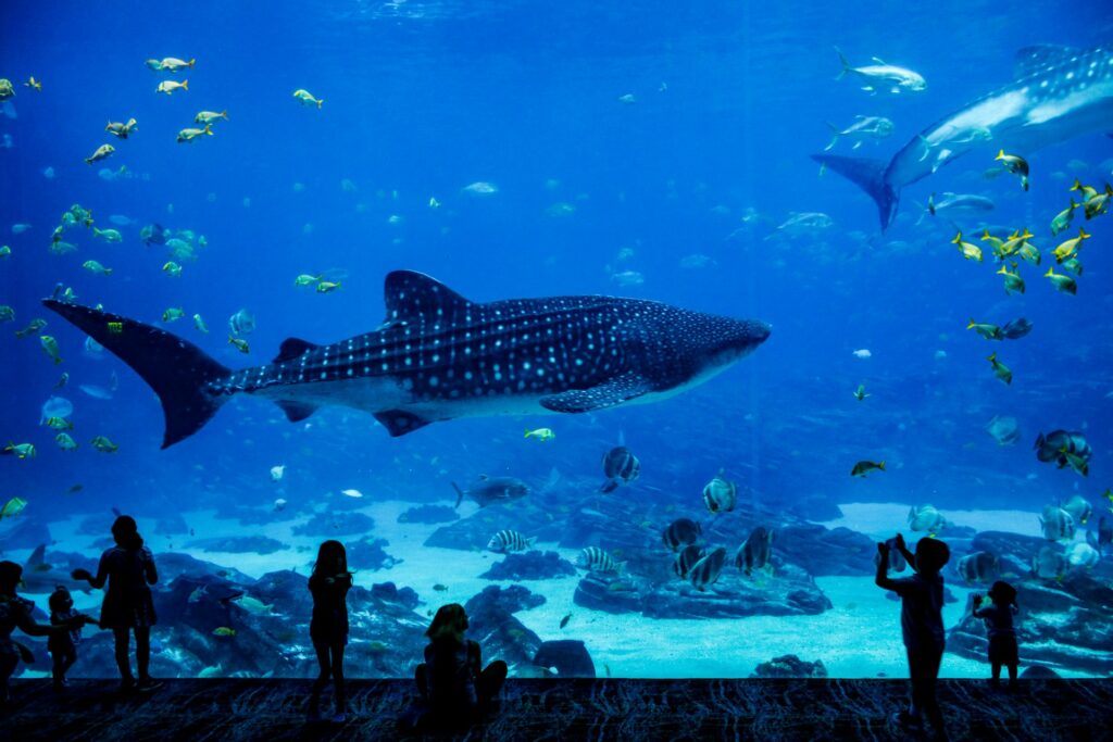 Best Places to Visit in London in 2024 / Sea Life Aquarium