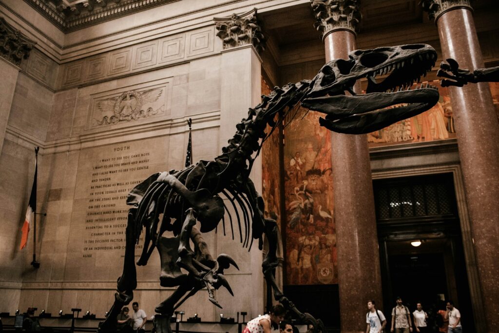 25 Best Places to Visit in New York / American Museum of Natural History