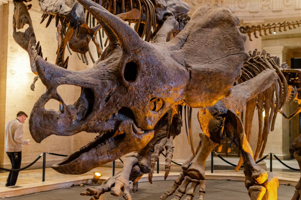 13 Best Places to Visit in Los Angeles / Natural History Museum of Los Angeles