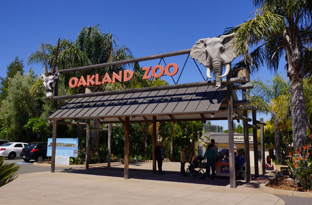 15 Best Places to Visit in San Francisco / Oakland Zoo