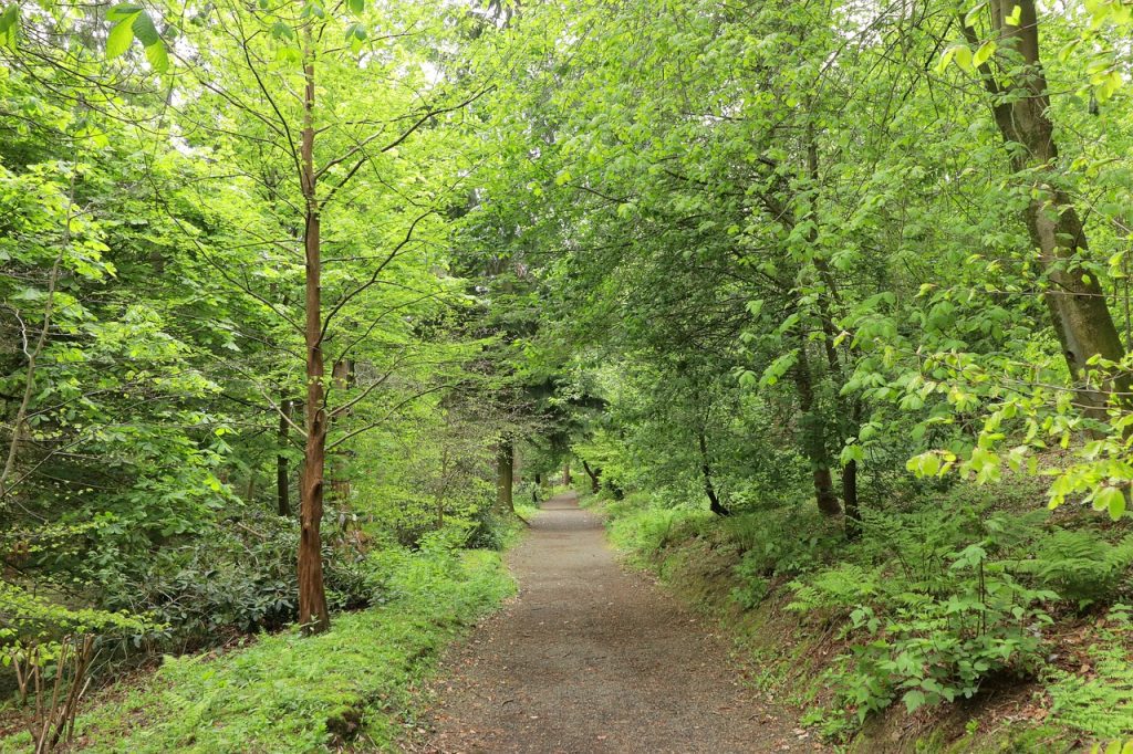 12 Best Things to Do n Frankfurt / Frankfurt City Forest