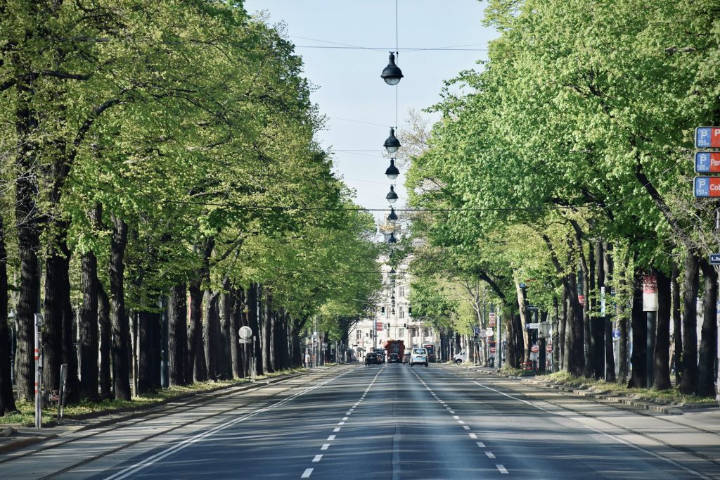 13 Best Things to Do in Vienna / Ringstrasse