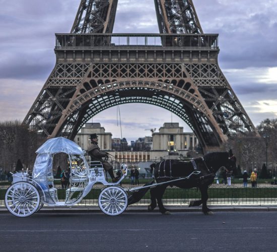 Guided Tours to France