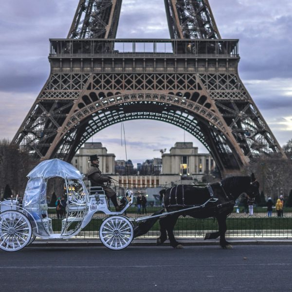 Guided Tours to France