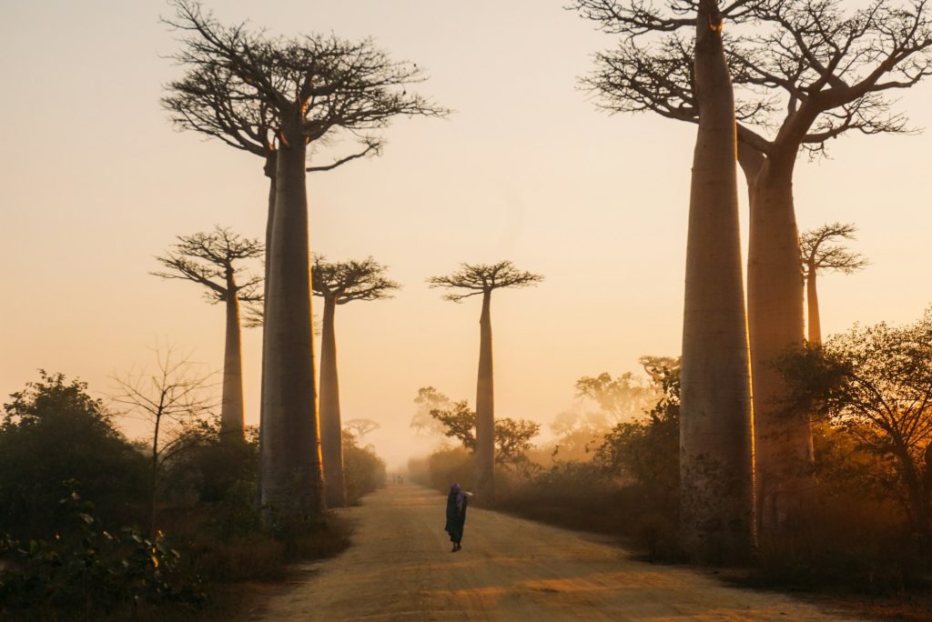 Africa Tours From USA / Morondava, Madagascar.