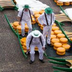 Mercato del formaggio, Alkmaar, Olanda